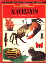 无脊椎动物  变形虫·贝类·珊瑚·昆虫·海星……