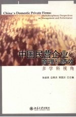中国民营企业的管理和绩效  多学科视角