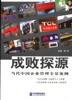 成败探源  当代中国企业管理全景案例