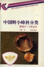 中国蚜小蜂科分类  膜翅目  小蜂总科