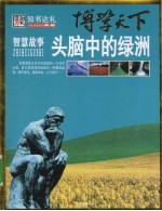 头脑中的绿洲：智慧故事