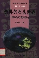 奇异的石头世界  贵州岩石载体文化