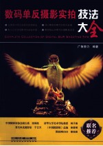 数码单反摄影实拍<em>技法</em>大全