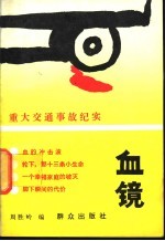血镜  重大交通事故纪实