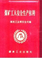 煤矿工人<em>安全</em>生产权利