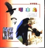 科学画谱  啄木鸟