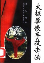 太极拳散手技击法