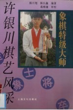象棋大师  许银川棋艺风采