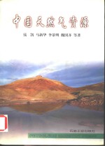 中国天然气资源