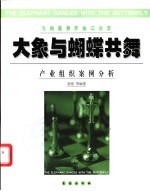 <em>大象</em>与蝴蝶共舞  产业组织案例分析