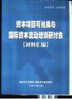 资本项目可兑换与<em>国际</em>资本流动培训研讨会  材料汇编