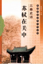 大唐盛世  苏轼在关中