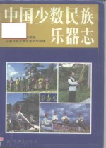 中国少数民族乐器志