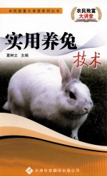 实用<em>养兔</em>技术
