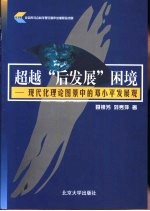 超越“后发展”困境  现代化理论图景中的邓小平发展观
