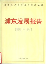 浦东<em>发展</em>报告  1991-1994