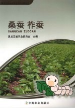 桑蚕  柞蚕