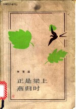 正是梁上燕归时