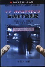 大卫·理查兹获奖作品选  车站街下的黑夜