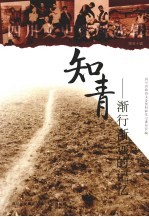 四川文史资料选辑  第50辑  知青  渐行渐远的记忆