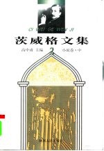 茨威格文集  2  小说卷  中
