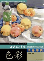 四川美术学院2005本科招生专业考试试卷评析  <em>色彩</em>