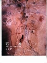中国当代油画名家个案研究  石冲