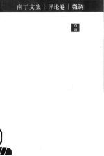 南丁文集  评论卷  微调