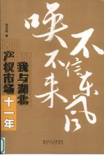 不信东风唤不来  我与湖北产权<em>市场</em>十一年