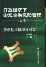 开放经济下宏观金融风险管理  下  银行风险的防范及银行重组