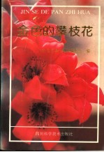 金色<em>的</em>攀枝花