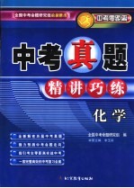 中考真题精讲<em>巧</em>练  化学