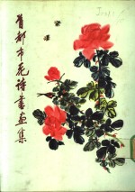 <em>首都</em>市花诗书画集
