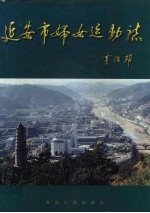 延安市<em>妇女</em>运动志