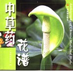 <em>中<em>草药</em></em>花谱