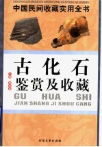 中国民间收藏实用全书  古化石鉴赏及收藏