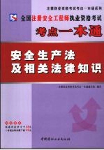 <em>全国</em>注册安全工程师执业资格考试考点一本通  安全生产法及相关法律知识