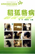 动物疾病防治图谱  貂狐貉病