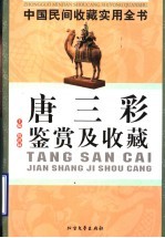 中国民间收藏实用全书  唐三彩鉴赏及收藏