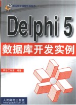 Delphi 5数据库开发<em>实例</em>