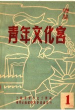 <em>青年</em>文化宫  1