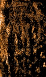 <em>针灸</em>大成  8卷