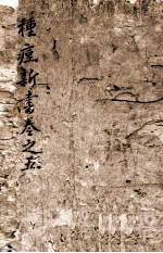种痘新书  卷之<em>5</em>