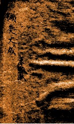 <em>针灸</em>大成  6卷