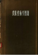 <em>皮肤</em>性病学图谱