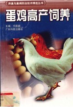 蛋鸡高产饲养