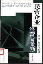 民营企业经营者激励  理论、方法与案例