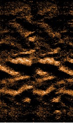 <em>针灸</em>大成  5卷