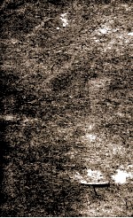 <em>函海</em>  87  蜀话  蜀碑记