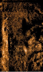 <em>针灸</em>大成  9卷